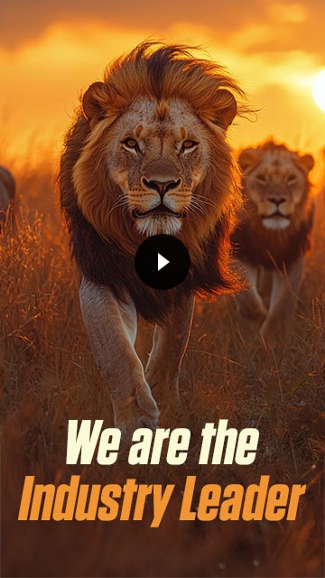 We-are-the-industry-leader